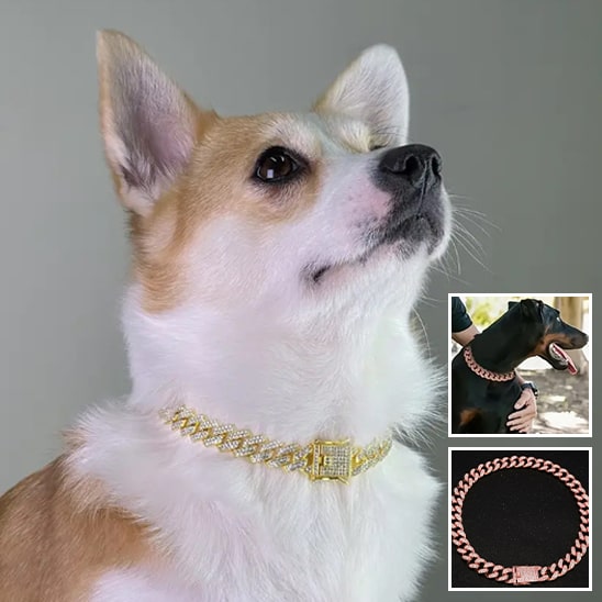 Accessoires-de-bijoux-pour-chien