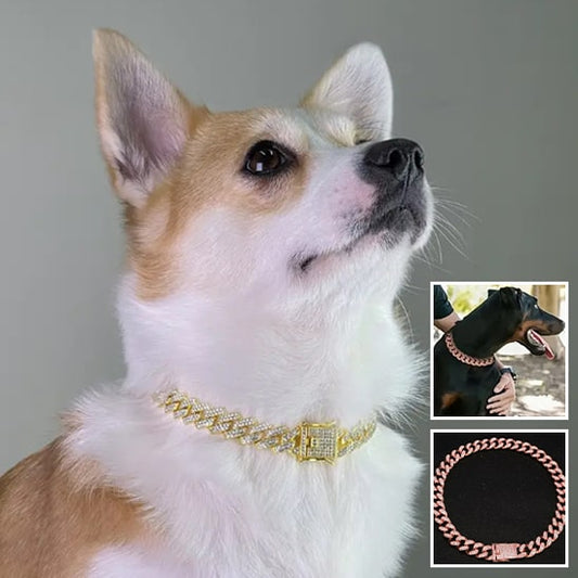 Accessoires-de-bijoux-pour-chien