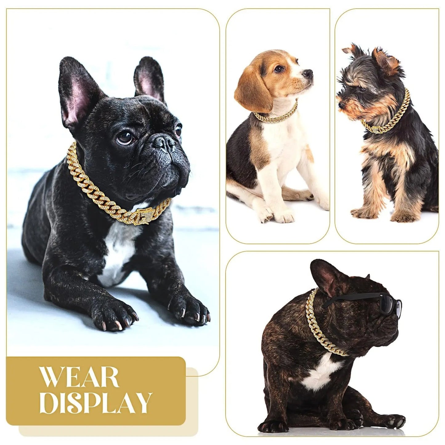 Accessoires-de-bijoux-pour-chien