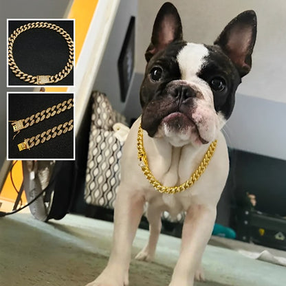 Accessoires-de-bijoux-pour-chien