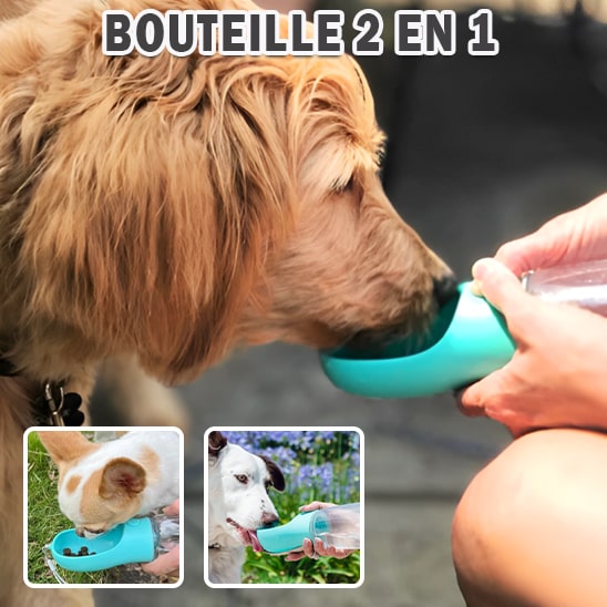 Bouteille-a-Boire-pour-Chien