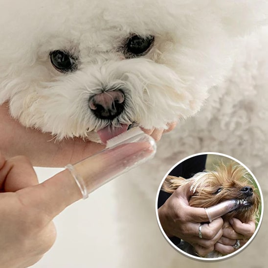 Brosse à dents pour chien | Dentipaw™