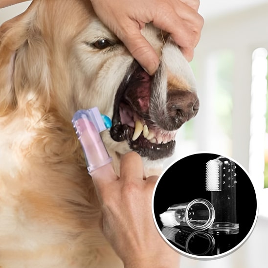 Brosse à dents pour chien | Dentipaw™