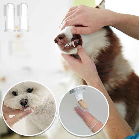 Brosse à dents pour chien | Dentipaw™