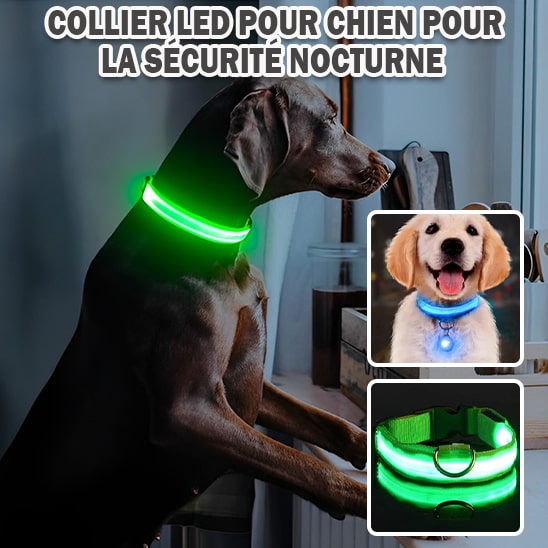 Collier-LED-pour-chien
