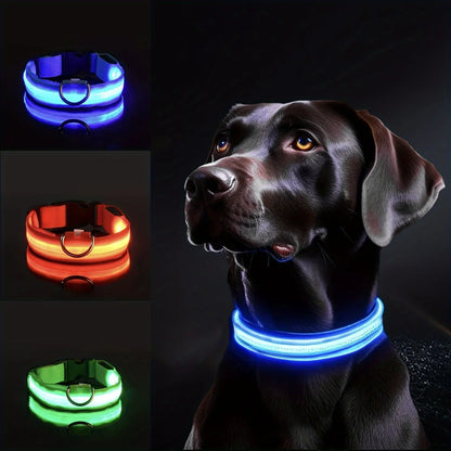 Collier-LED-pour-chien