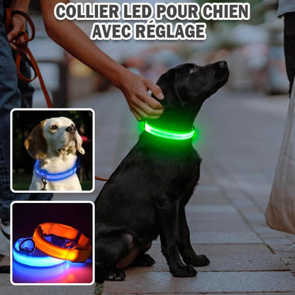 Collier-LED-pour-chien