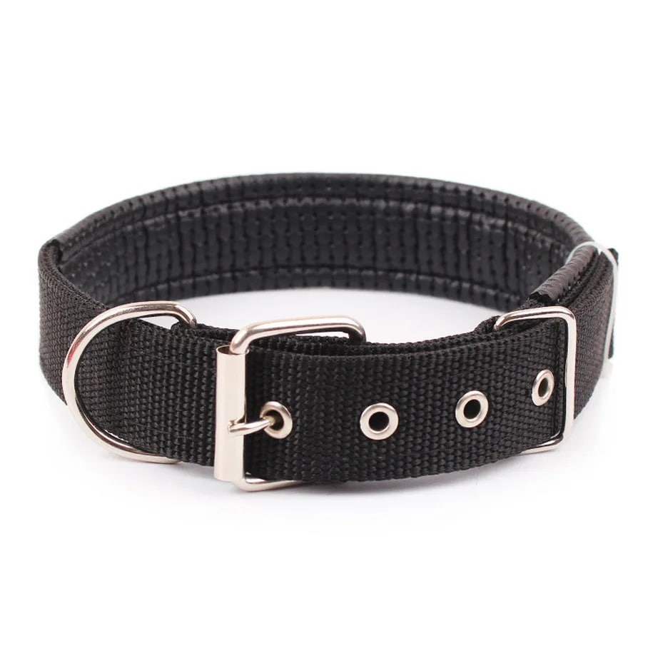 Collier pour Chien | Atlas ™