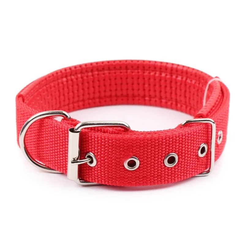 Collier pour Chien | Atlas ™