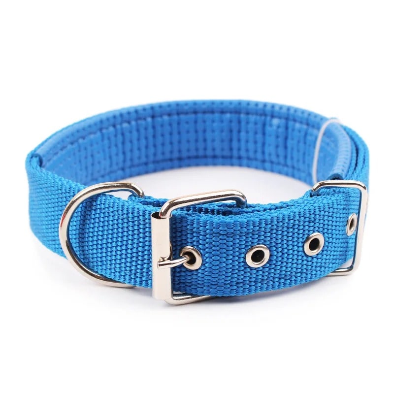 Collier pour Chien | Atlas ™