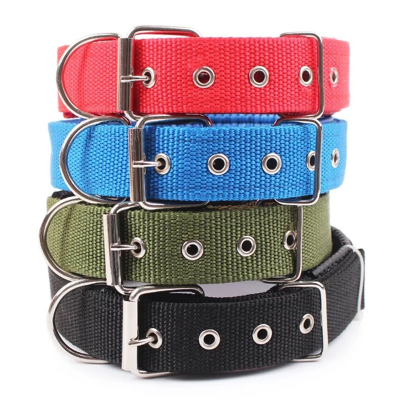 Collier pour Chien | Atlas ™