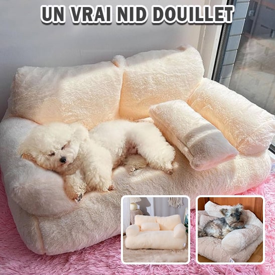 Coussin-déhoussable-pour-chien