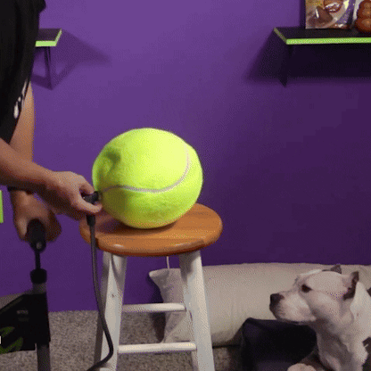 Giant Tennis Ball For Dog Chew|TENNISPAWS™