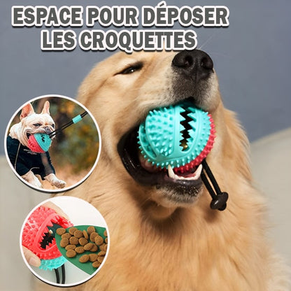 Jouet-pour-chien-kong