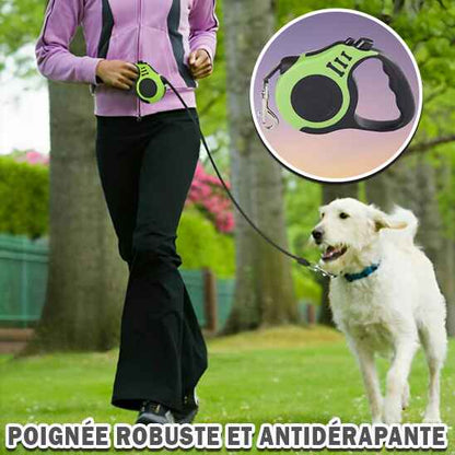 Laisse Enrouleur | FLEXILEASH™