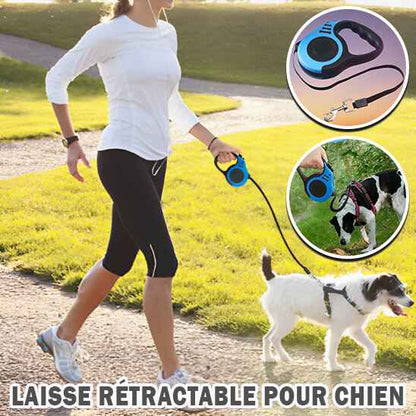 Laisse Enrouleur | FLEXILEASH™