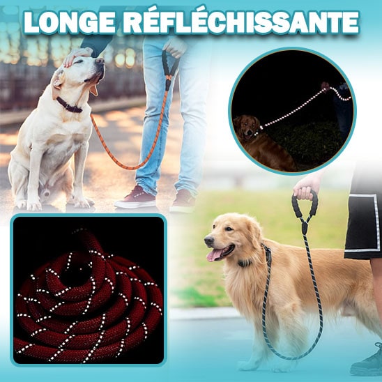 laisse-de-dressage-pour-chien-modula