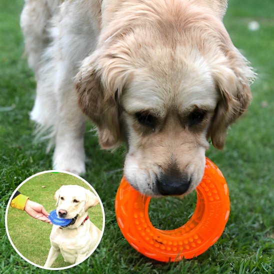 Lanceur-de-balle-pour-chien