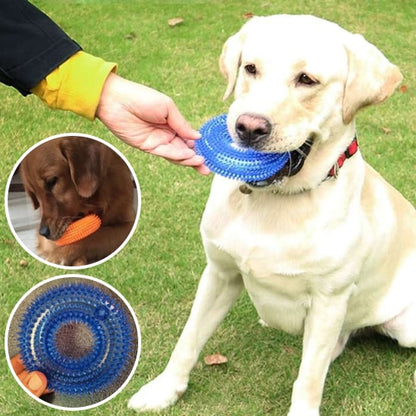 Lanceur-de-balle-pour-chien