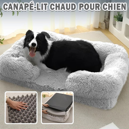 Lit-pour-chien