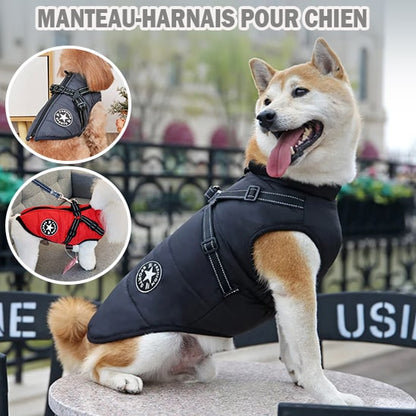 Manteau-avec-harnais-chien