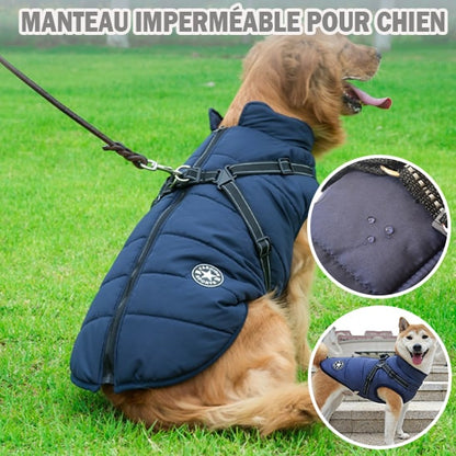 Manteau-avec-harnais-chien