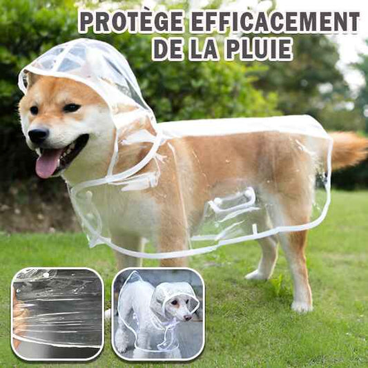 Manteau imperméable pour chien |BOTELDOG™