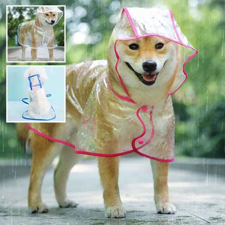 Manteau imperméable pour chien |BOTELDOG™