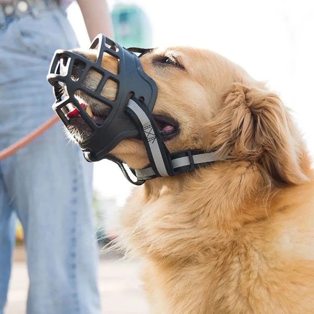 Muselière pour chien