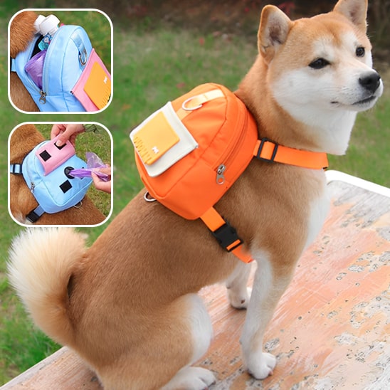 Sac-pour-chien