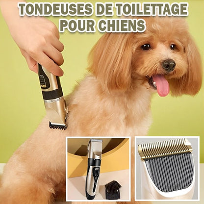 Tondeuse pour chien | FurFix™