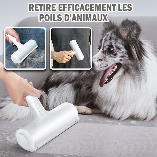 aspirateur-poil-de-chien