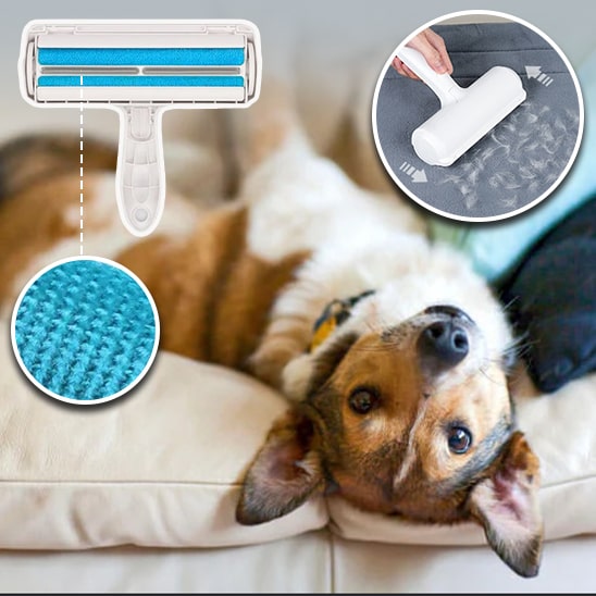 aspirateur-poil-de-chien