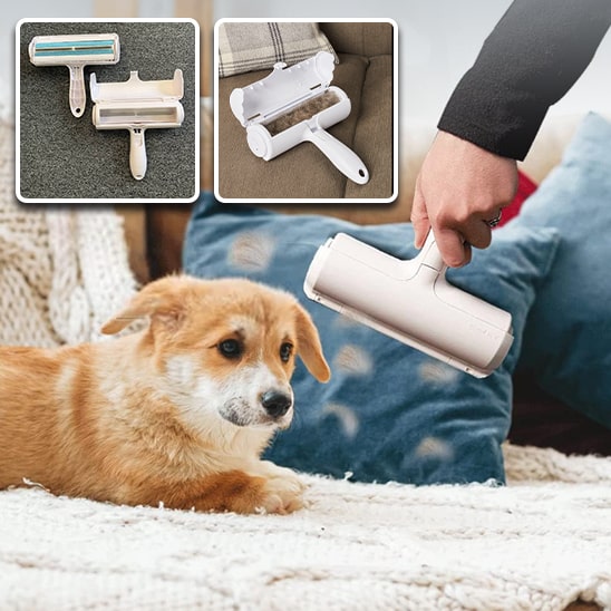 aspirateur-poil-de-chien