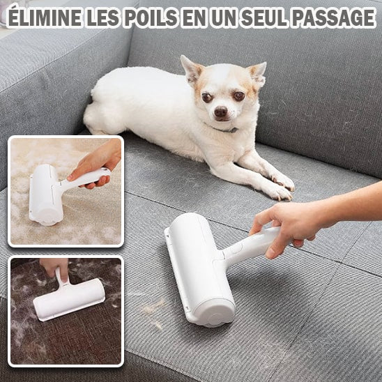 aspirateur-poil-de-chien