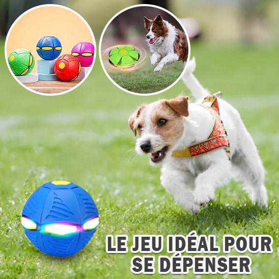 Balle pour chien OVNI volante LED | VOLTEBALL™