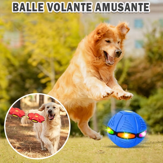 Balle pour chien OVNI volante LED | VOLTEBALL™