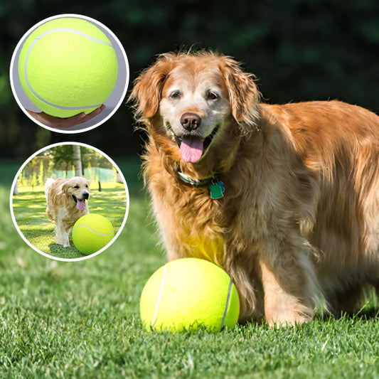 Giant Tennis Ball For Dog Chew|TENNISPAWS™