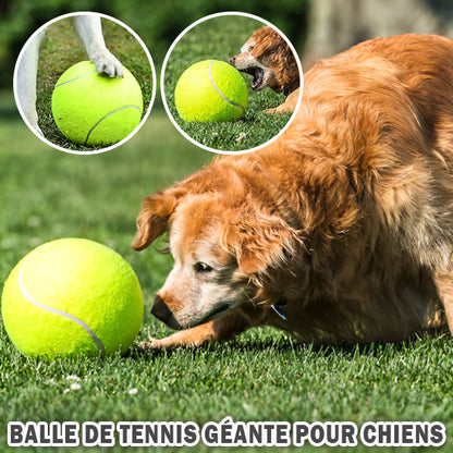 Giant Tennis Ball For Dog Chew|TENNISPAWS™