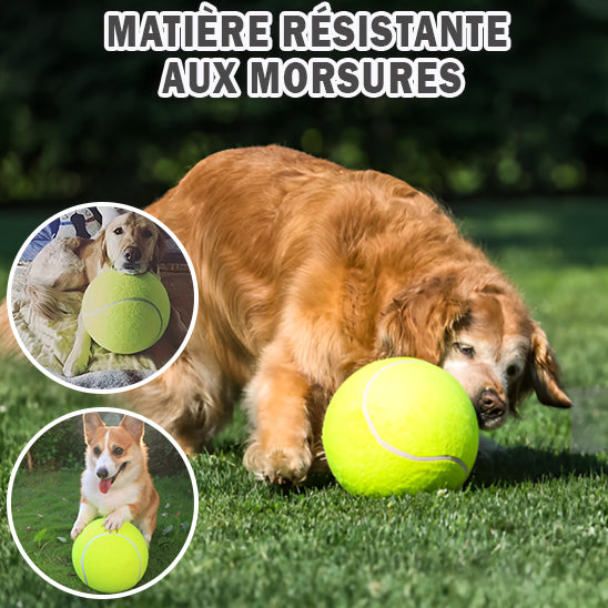 Giant Tennis Ball For Dog Chew|TENNISPAWS™