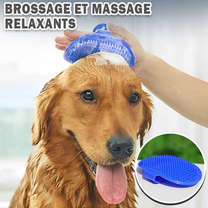 brosse-de-bain-pour-chien