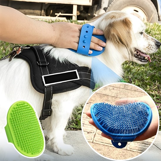 brosse-de-bain-pour-chien