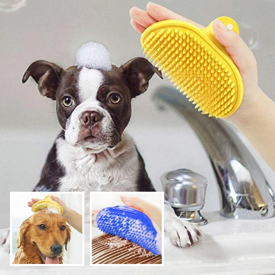 brosse-de-bain-pour-chien