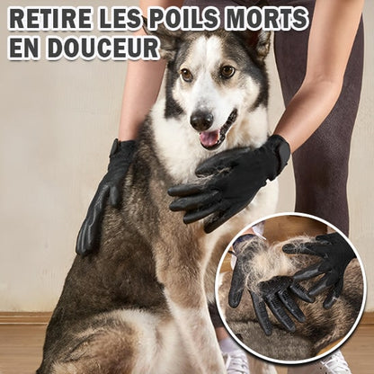 brosse-de-massage-pour-animaux