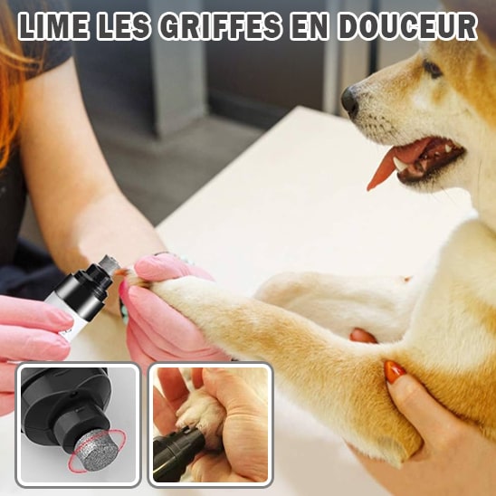 coupe-griffes-pour-chien