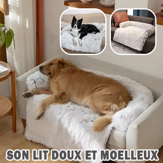 coussin-pour-chien