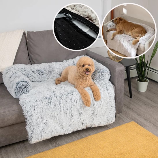 coussin-pour-chien