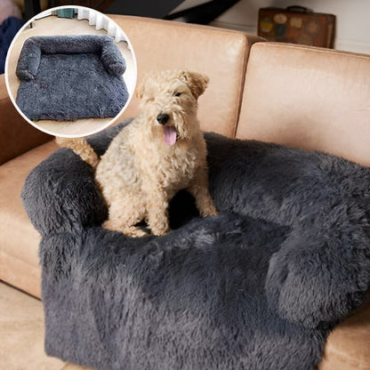 coussin-pour-chien