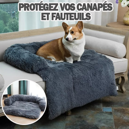 coussin-pour-chien