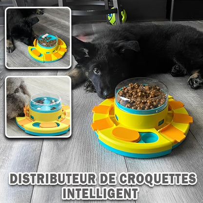 distributeur-de-croquettes-pour-chien